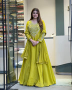 Elegant Lime Green Handworked Flared Gown Set